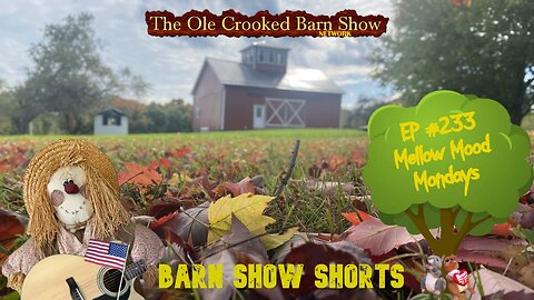 "Barn Show Shorts " Ep. #233 “Mellow Mood Mondays”