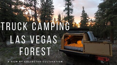 Custom Camper Camping in Las Vegas Forest