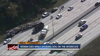 70-year-old woman killed trying to avoid dog on I-275