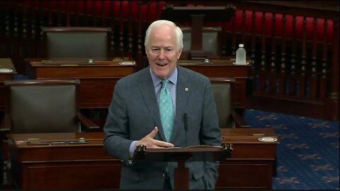 Cornyn: VP Harris Travels to the Wrong Place