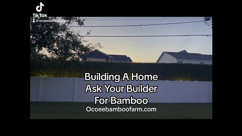Building A New Home? Ask Your Builder About Clumping Bamboo