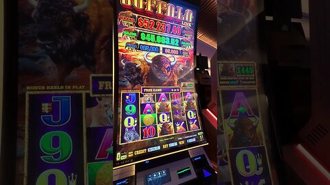 {$500/Spin Buffalo Link} #casino #hardrock #gamingshorts