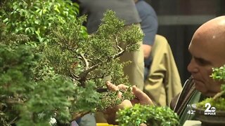 Maryland Home & Garden Show celebrates 40th anniversary