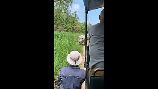 When Rhino confronted us at jeep safari