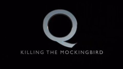 Q Counters Operation Mockingbird