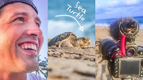 SEA TURTLE MOTHER NESTING | A WILDLIFE PHOTOGRAPHER REACTION (FIRST ENCOUNTER)