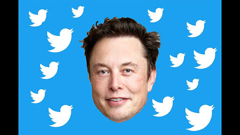 ELON MUSK AT TWITTER HQ HAHAHA