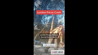 Lumber Price Crash