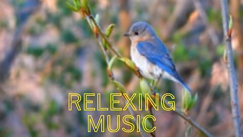 relaxing music