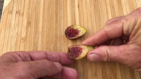 Savanac Noire Main Fig Tasting