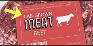 FDA Approves Lab-Grown Meat