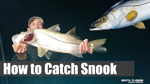 How to Catch Snook | Live Bait & Jigs