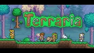 Playing Terraria Pt.2