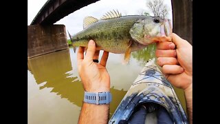 Fishing under railroad tracks - topwater SMASH!