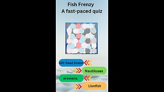 Fish Frenzy A fast paced quiz 37 #shorts