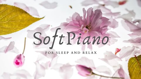 1 Hour of RELAXING SLEEP MUSIC:🎹 Soft Piano Music, Sleeping Music, Sweet Dreams👼🏼 ★122 #sleepmusic