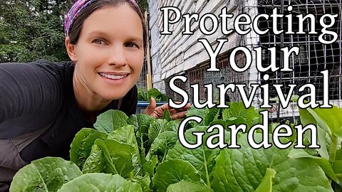 Protecting Your Survival Garden ~ May Garden Tour 2022 ~ Epic Container Gardening