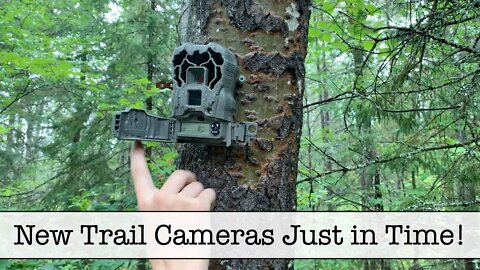 New Stealth Cam 16MP Camera Combo, 2-pk Trail Cameras Just in Time! #trailcamera