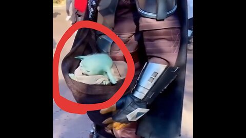 Do you think this man's pet is an alien (uofa)?😨😨/Funny/funny/Cute/cute/animals/animal/