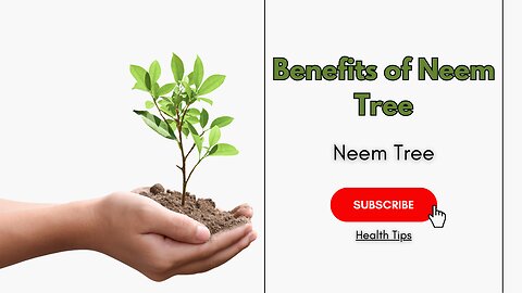 Neem Tree | Benefits of Neem Tree