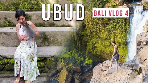 Monkeys of Ubud Monkey Forest! Tegenungan Waterfall | Solo Girl in Bali, Indonesia ! Bali Vlog #4