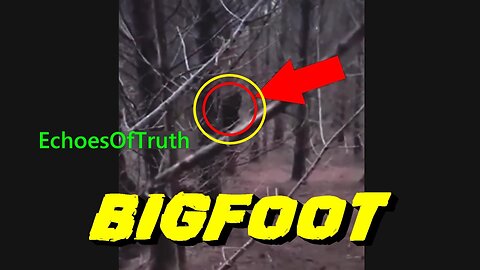 Mysterious Sasquatch: Bigfoot Caught On Camera, Then Suddenly Disappears!