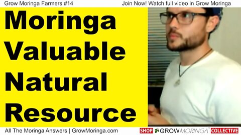 Moringa is a Valuable Natural Resource to Make BioFuel, Feed Livestock and use as a Fertilizer