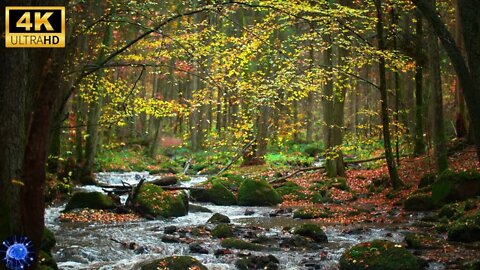 15 Minutes Ultra Relaxing Autumn Waterfall - Waterfall Sounds, Relax, Meditation