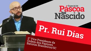 Pr.Rui Dias - NascidoLive