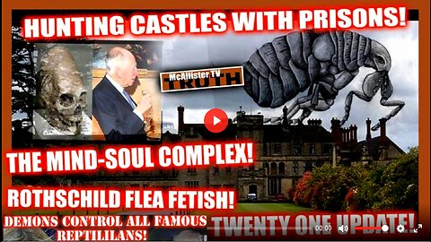 FLASH! THE MIND_SOUL COMPLEX! ROTHSCHILD'S FLEAS! CASTLES WITH PRISONS! SOUL LOOP!