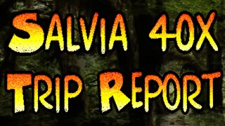 Salvia 40x (Trip Report)