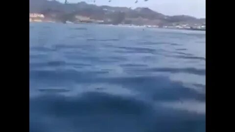 Gigante Ballena se traga a dos mujeres