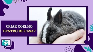 COMO CRIAR COELHO EM APARTAMENTO