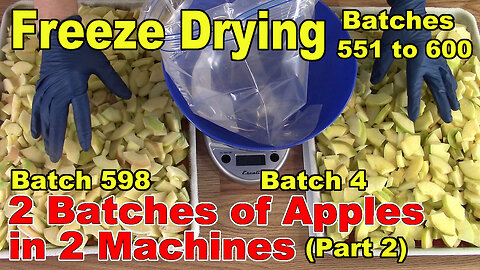 Freeze Drying - The Next 50 Batches - 2 Batches of Apples in 2 Machines - Batches 598 & 4 - Part 2