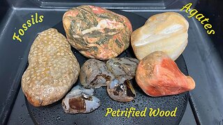 Yellowstone River Rockhounding! Agates, fossils, petrified wood, jaspers and more!