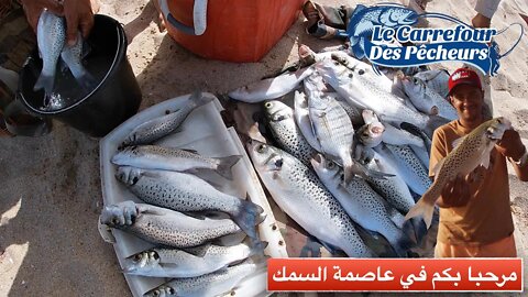 لم نتوقف طوال اليوم عن سحب السمك بأطول شاطئ رملي في افريقيا (اعادة نشر) - Peche à La Plage Blanche