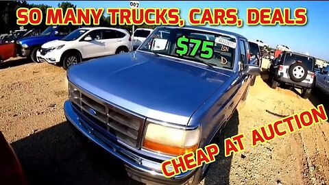 So Many Trucks, Cars, And Deals At Auction Cheap. Copart Walk Around