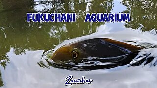 Fukuchani Aquarium Zanzibar.