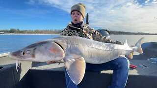 Catching Huge Rainy River Sturgeon!