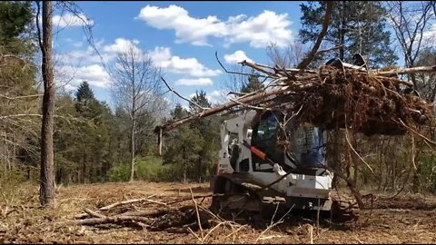 Bobcat T650 Root grapple skid steer clearing firewood and brush; VRBO cabin in the woods project