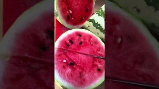 Cutting Freshly Picked WATERMELON ASMR (Tingles) 🍉❤️😊 #shorts #viral #tiktok