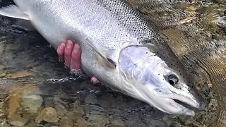 It's TIME to PREPARE for the BEST SEASON! | Steelhead