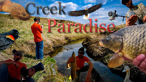 Avoiding the BS of Society - My Creek Paradise