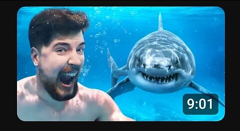 Would you swim with sharks for $100000 ?