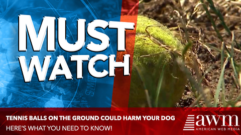 If You Spot A Tennis Ball On The Ground, Do Not Touch It. Police Have A Dire Warning