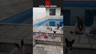 festa na piscina