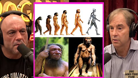 Is Evolution A LIE! Joe Rogan & Stephen C. Meyer