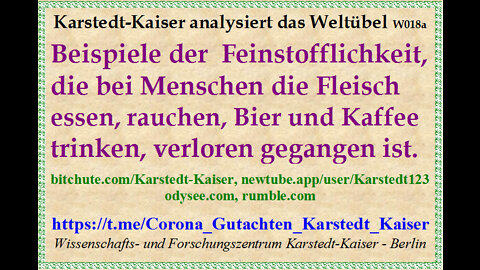 Des Menschen verloren gegangene Feinstofflichkeit - Karstedt-Kaiser W018a