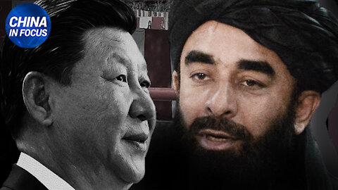 NTD Italia: Talebani e comunisti cinesi. Amicizia e “dialogo” sboccia tra i nuovi amici