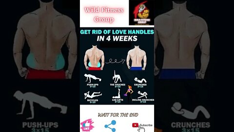 🔥How to get rid of love handles in 4 weeks🔥#shorts🔥#wildfitnessgroup🔥6 July 2022🔥